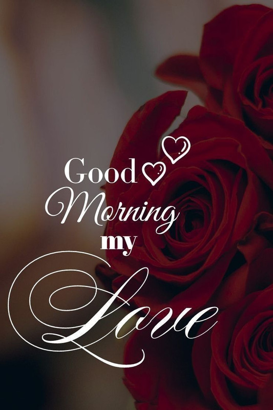 78373ccb880283428da700100dba79ea-(1)