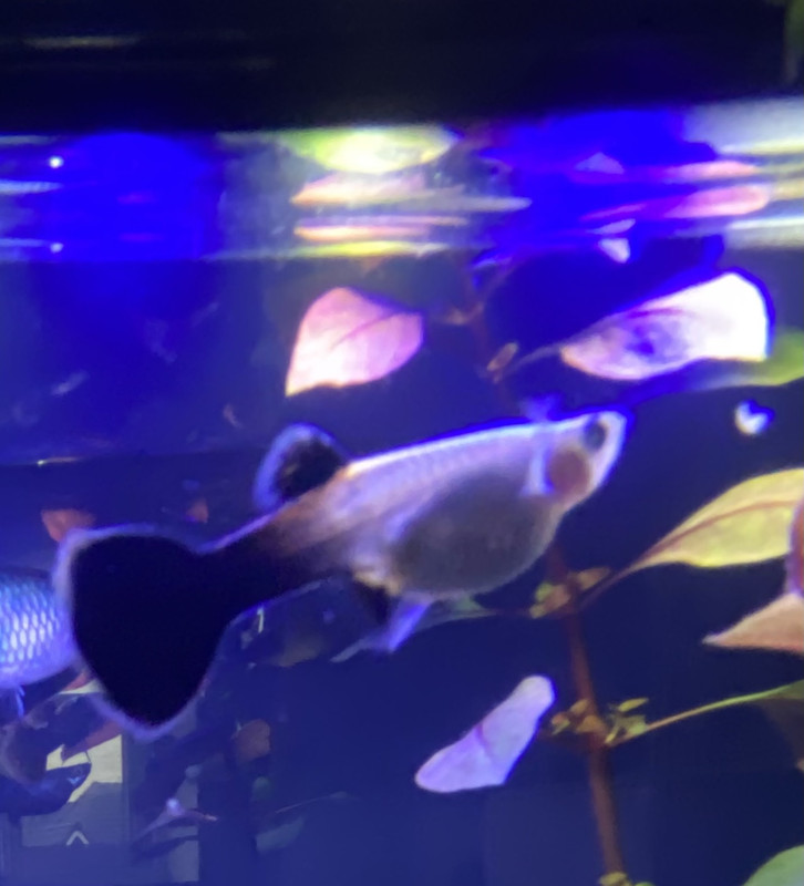 61D2C32A-43D6-4261-9169-62BABACE853C