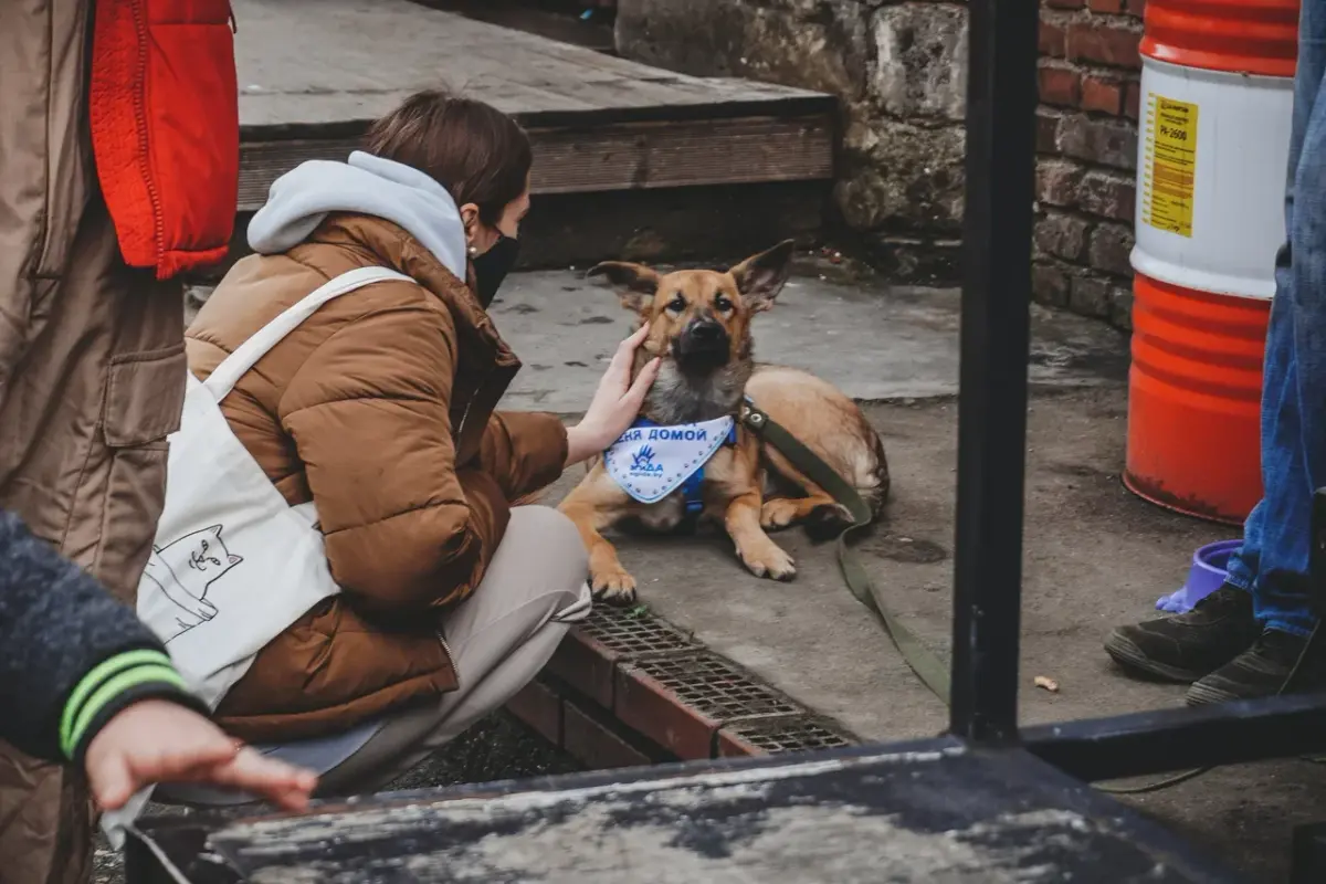 6AC7E2A4-B60D-4F34-B91B-5B3F6493C50F