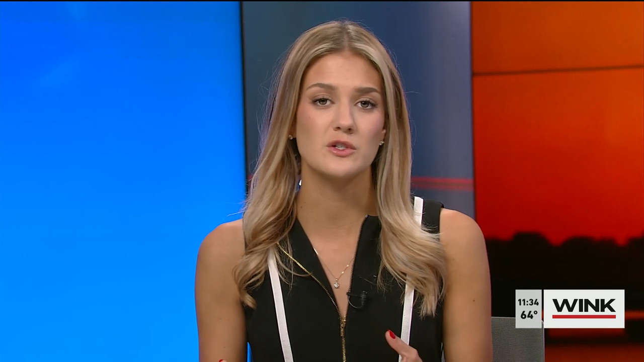 03.19 - 15.30.00 - WINK NEWS at 11 30am  ᴺᵉʷ. Midday news..ts_snapshot_10.11.465