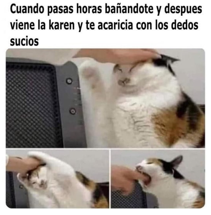 gato-ba-ado.png