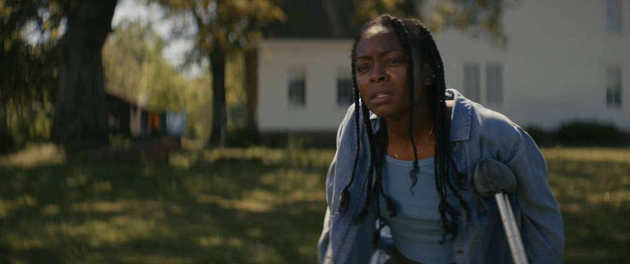 The Woman in the Yard 2025 BluRay [Hindi + English] 480p, 720p ESub Screenshot
