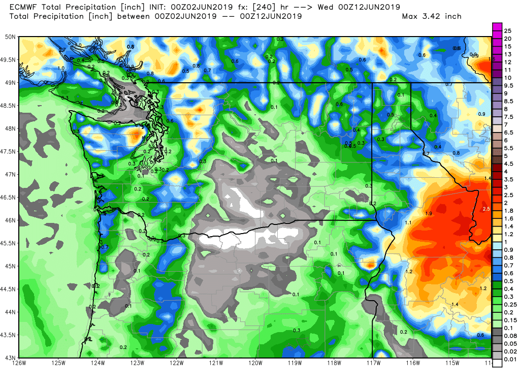 ecmwf-tprecip-washington-41.png