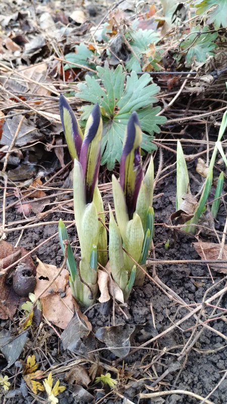 изображение_viber_2025-02-02_14-37-38-709