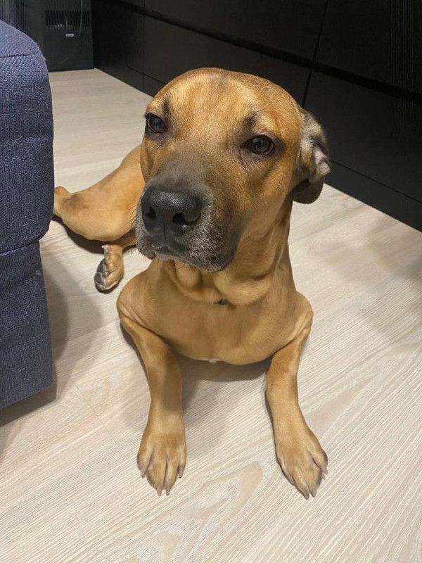 7A7DBAE2-CFE5-4D7A-8E3E-A5ECB0417B6D