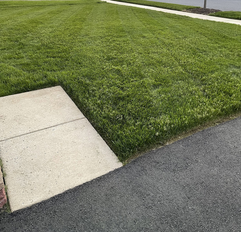 61D5D89D-AA54-4A01-BBC6-0CCE9DE2AFEB