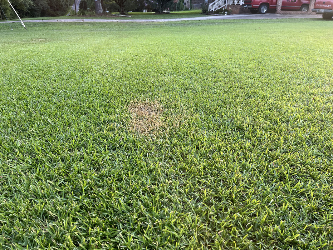 9DC3B0AD-AC94-4C64-9B99-7571C677DDC8