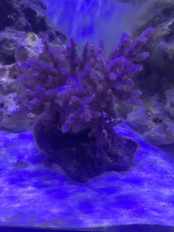 28A51927-07D6-4FB0-BC2F-4A4AEBD0B8B2