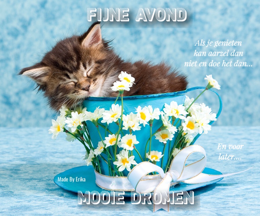 3F1E1EB8-3B5A-4ADC-A83F-CB537229F837