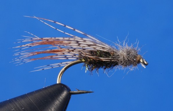 Peacock-Caddis