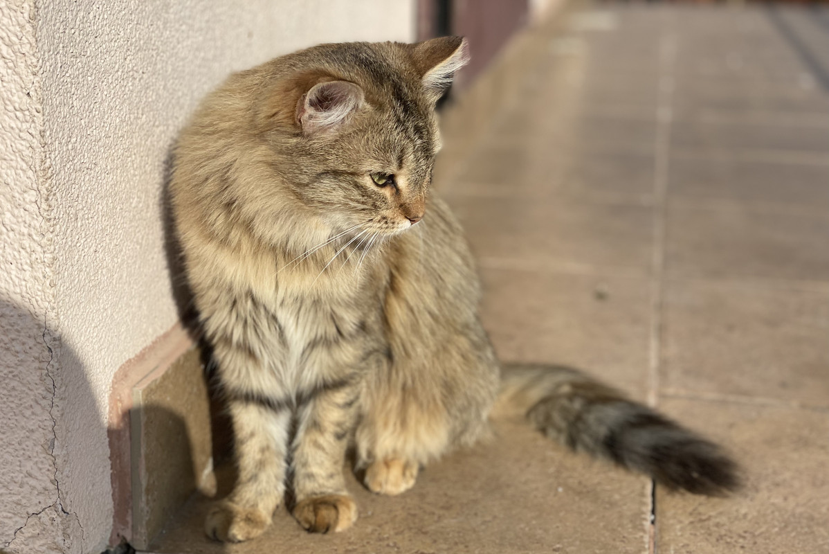 254F0049-DCD0-4E50-8245-94542D50F568