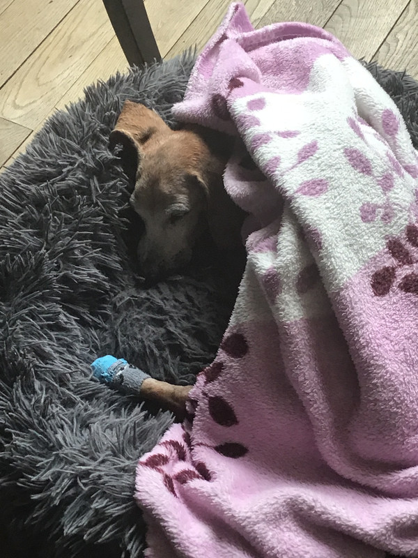 [Image: 0106-D6-DA-4-AC6-4023-9-B4-C-4-D9744342-FD6.jpg]