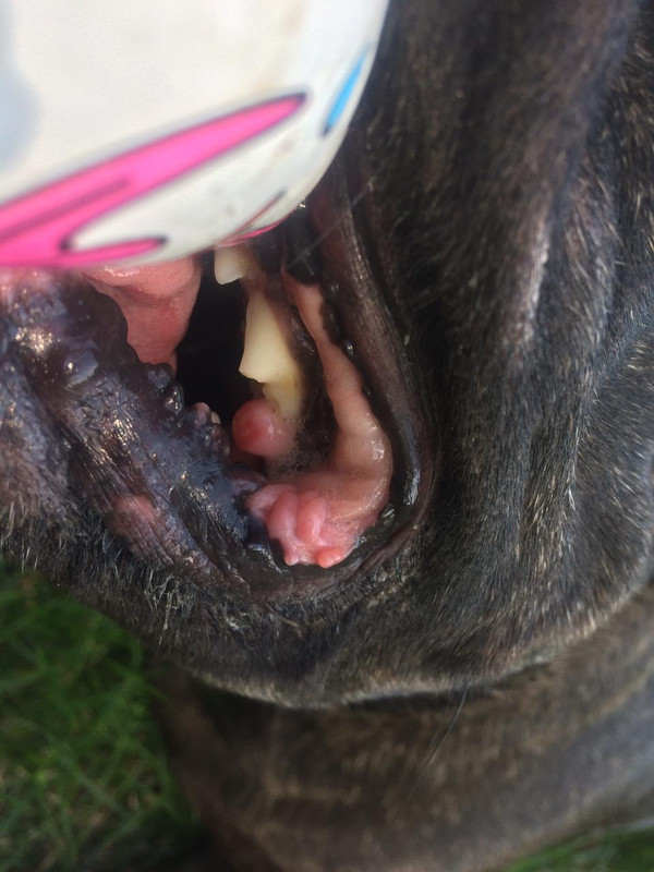 2AAAB8C0-85F7-484C-A872-2F84C7BFF6B5