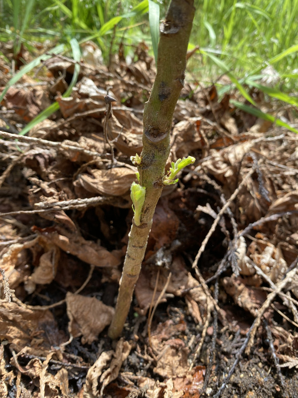 BC7CED02-B546-4E12-9AFE-AC891965134B