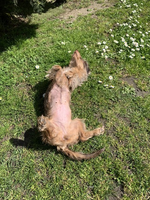 [Image: CC42-E5-CC-44-E3-4172-A450-4-BA7-C34-C8-FE2.jpg]