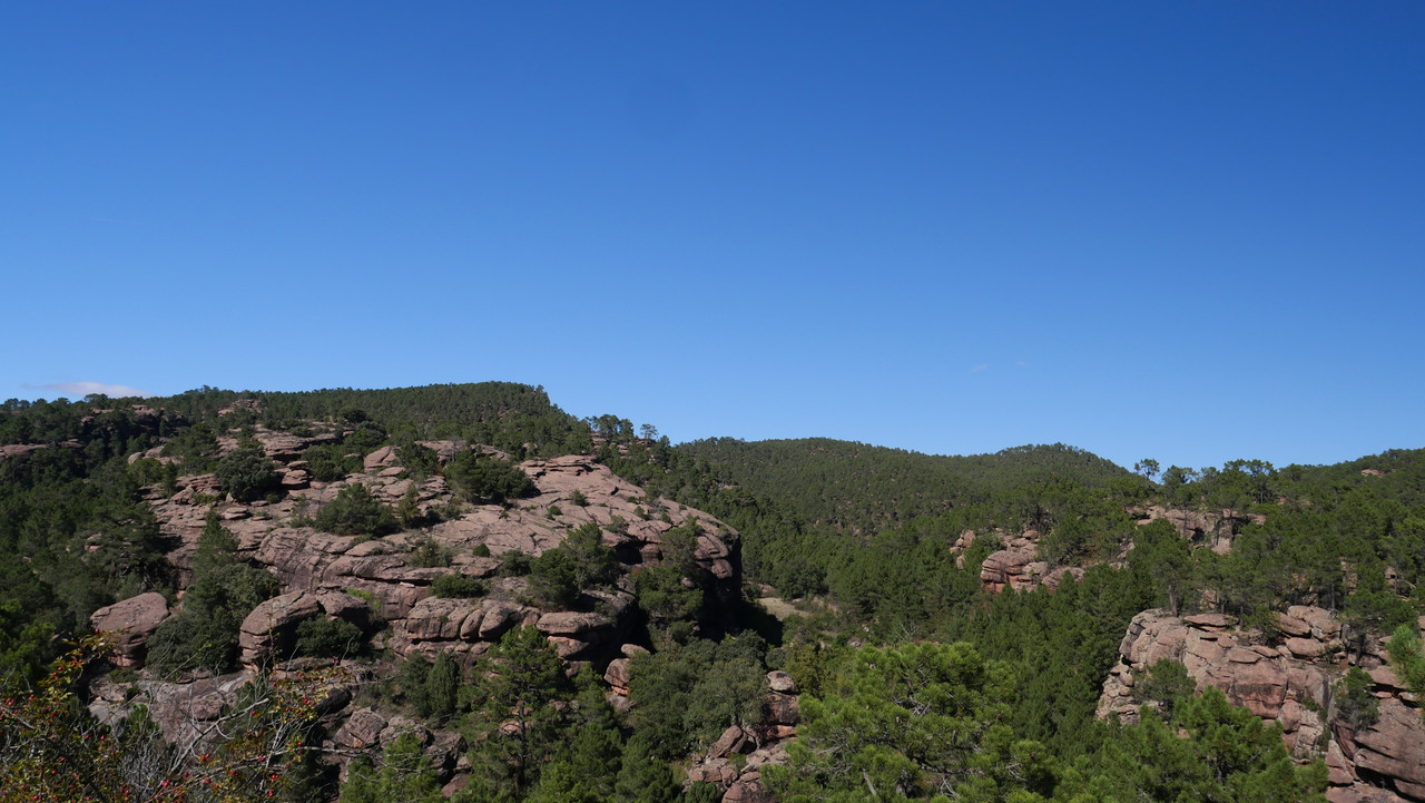 746AD294-5A13-4F8E-BC91-4B22A8DF6CA5