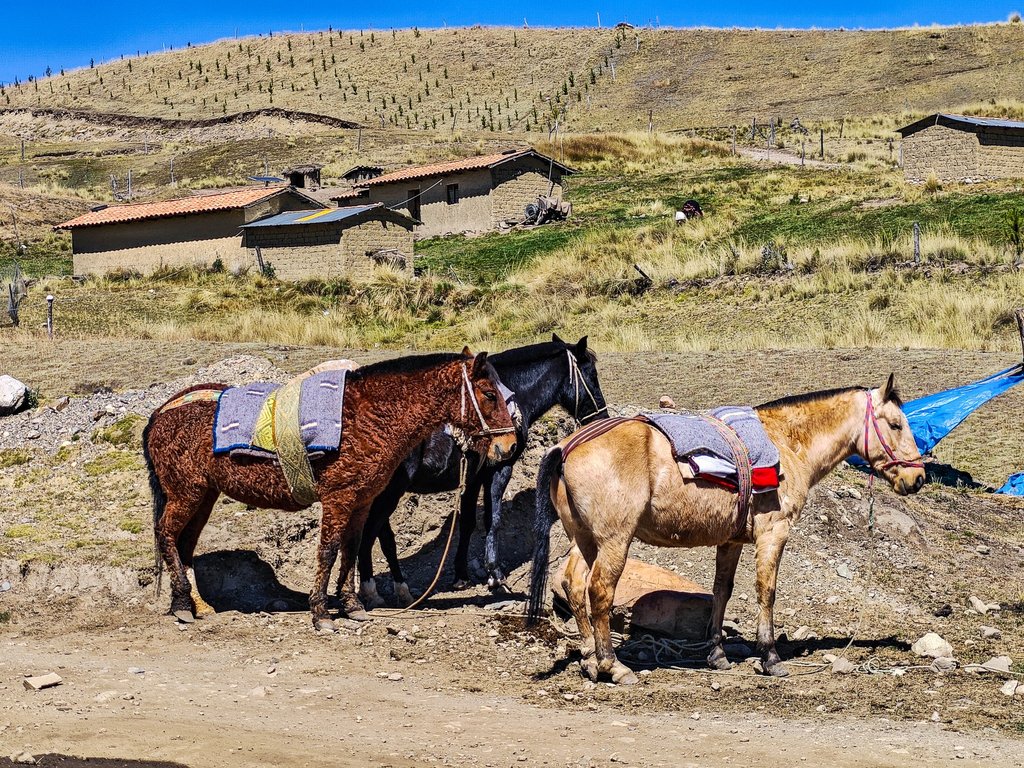 https://i.postimg.cc/wjyzzBc2/Image00336.jpg