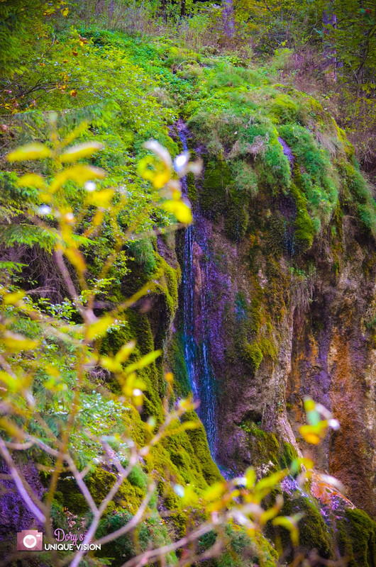 Whats-App-Image-2020-11-04-at-17-27-03-2