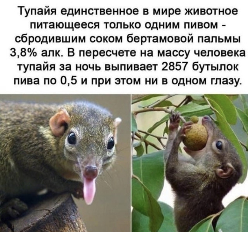 Посмеялся сам - поделись с другом!!!