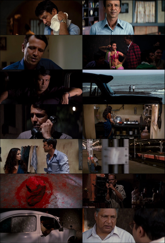 The Stoneman Murders (2009) 1080p | 720p | 480p WebRip [Hindi (हिन्दी)] DD5.1 ESub