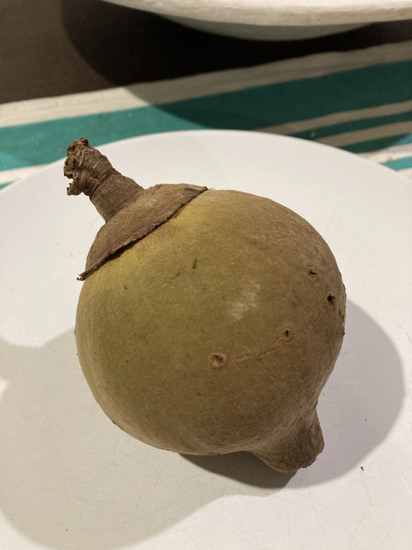 31A27436-36E0-4DC2-8696-1560B45E3FDB