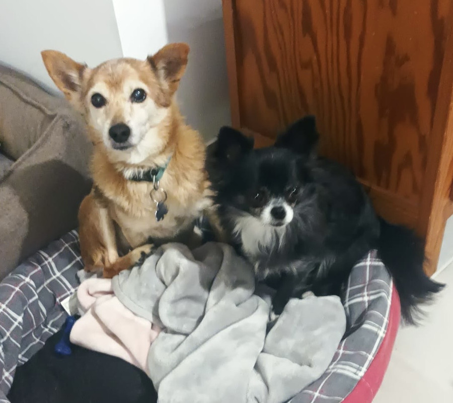 [Image: b477d813-df3d-4760-bf22-83ba842bbe0e.jpg]