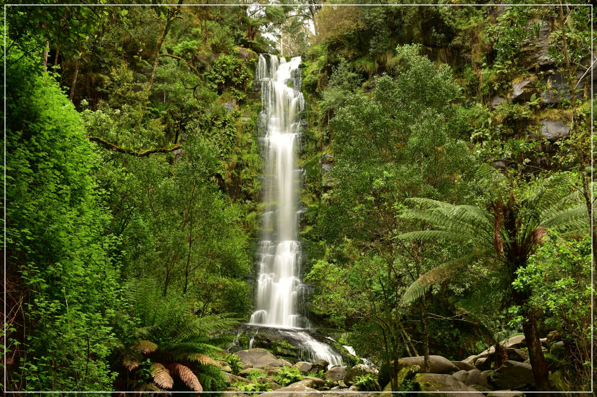 Great Ocean Road - Australia (I): toma de contacto (6)