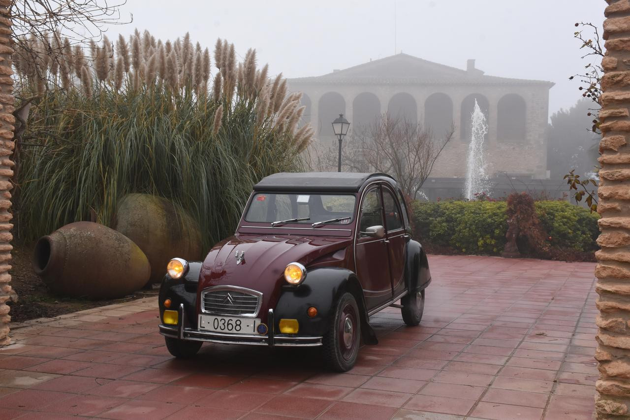 CITROEN 2CV CHARLESTON BOIRA (27)