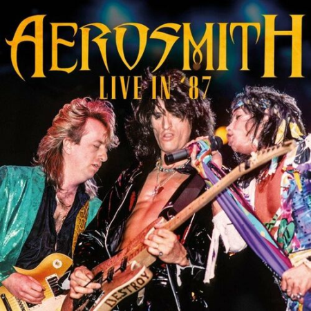 Aerosmith - Hampton Civic Center, Va on November 16th 1987 (2021)
