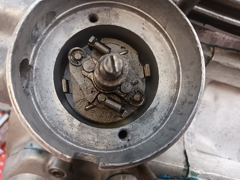 20220319_090710_copy_800x600