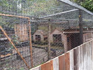 Fences-073jpg