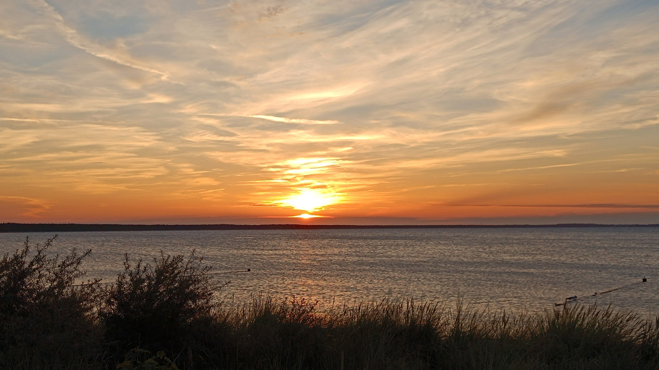 IMG 20240813 203731 — Postimages
