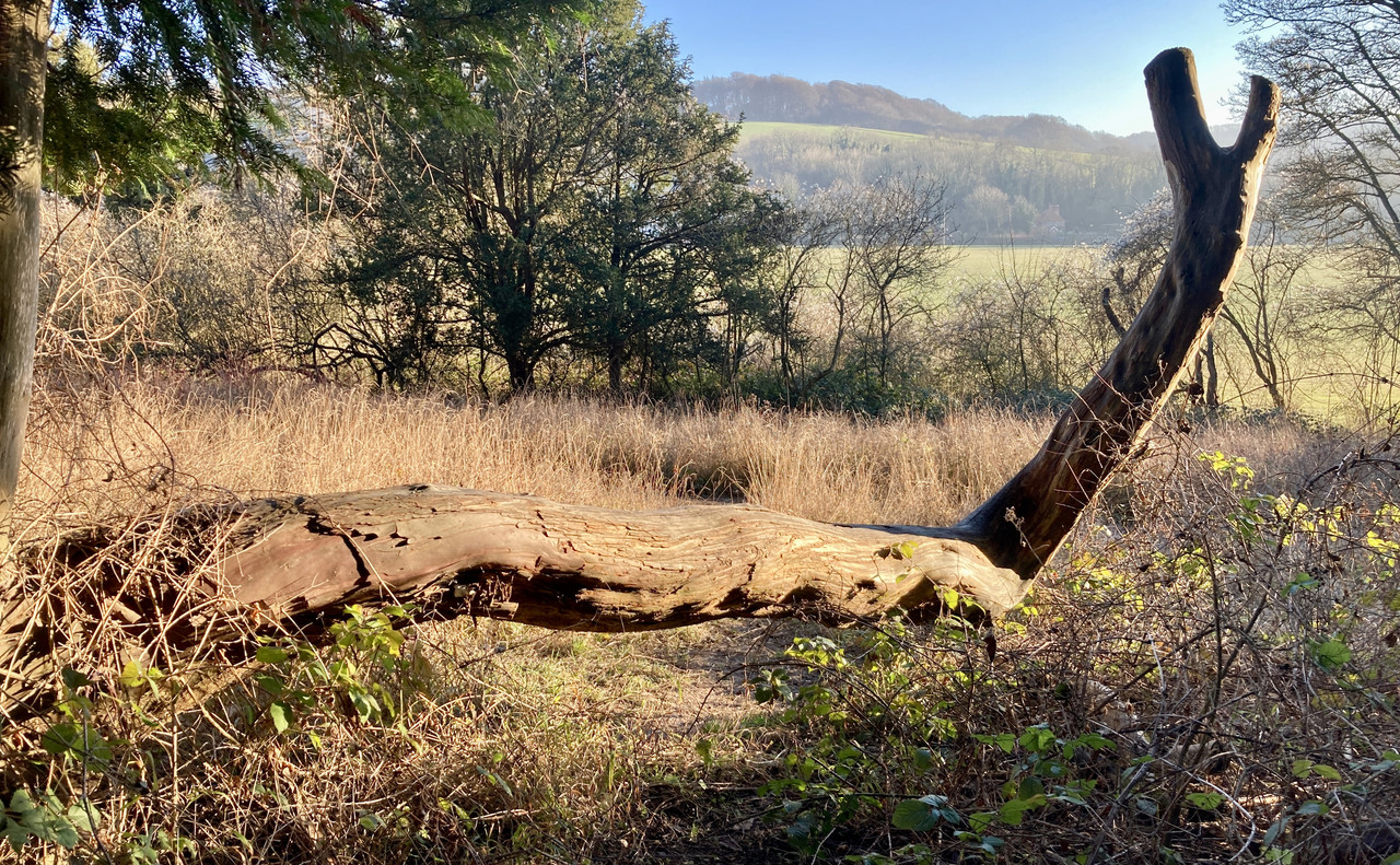 C475974A-783E-40AD-8993-1FEA68340C1E