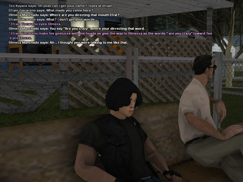 SSRoleplay437.png