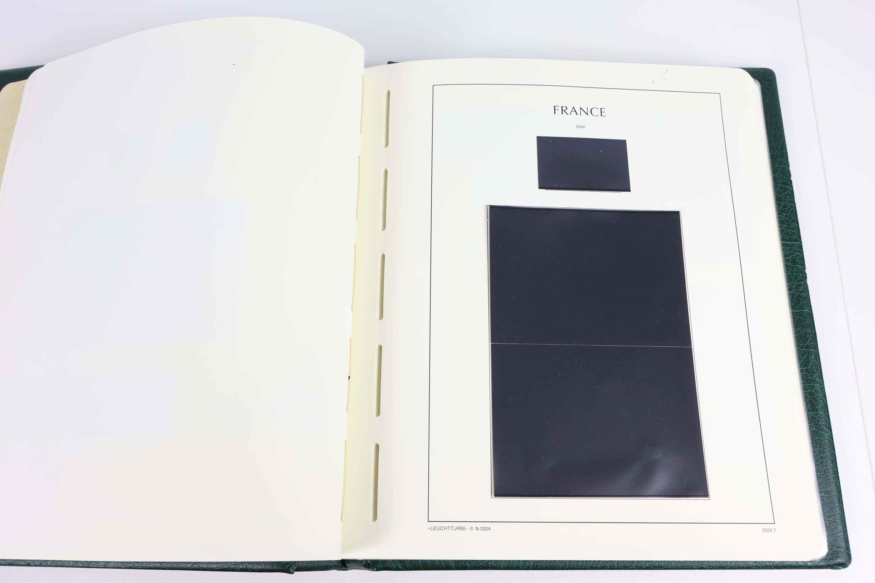 IMG-6473