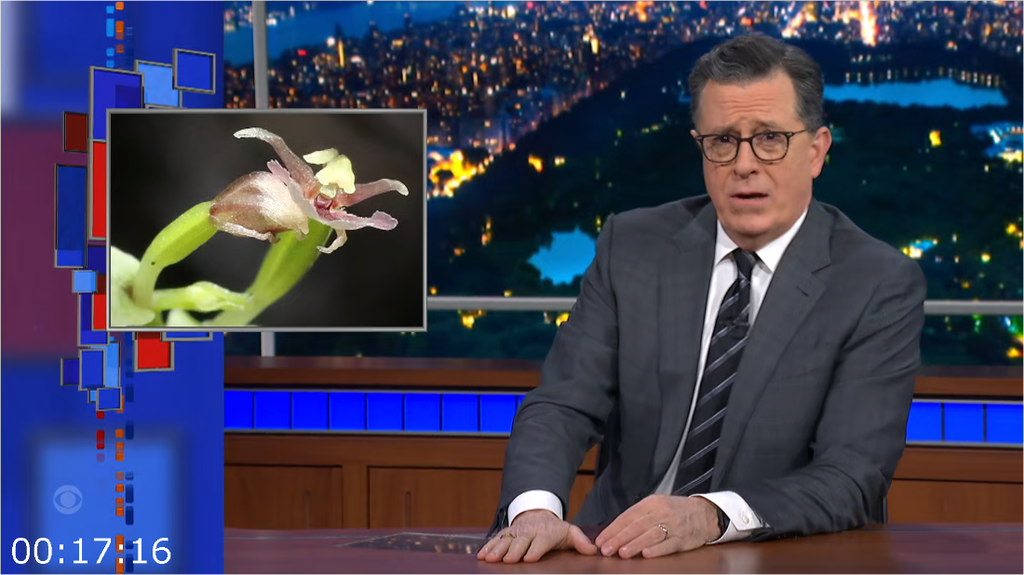 [Image: b7f9un92rroa.png]