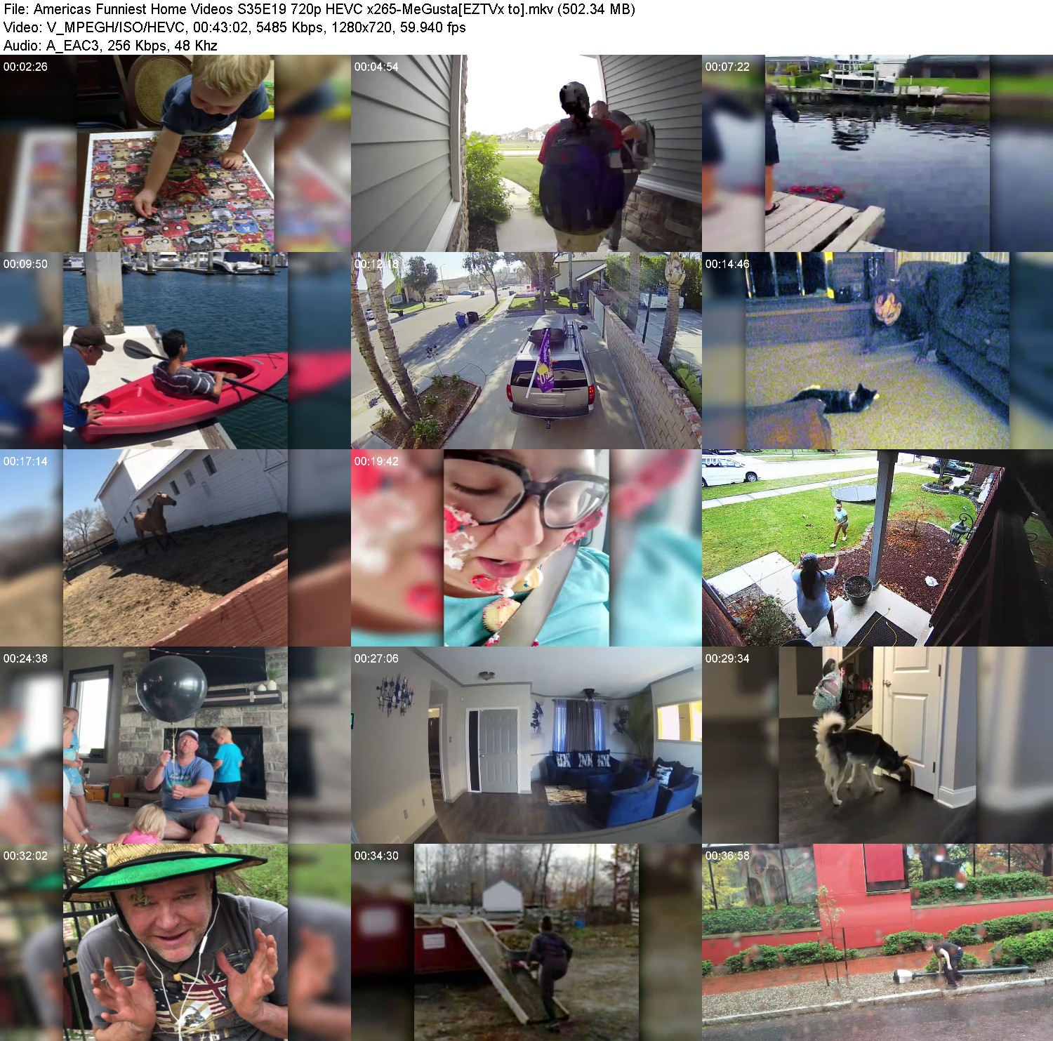 [Image: i4t6otg3c3km.jpg]