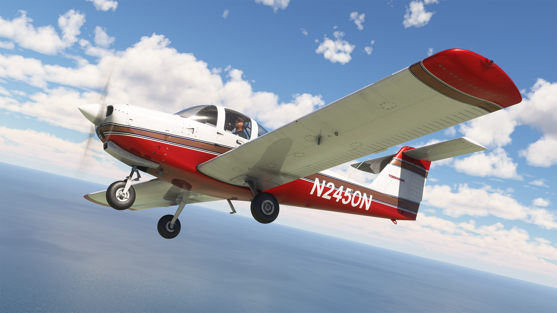 N2450N-2.jpg