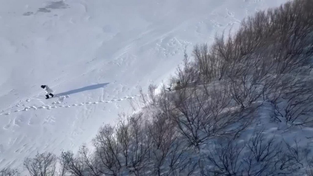 [Image: 0dwp3w8y1mrr.jpg]