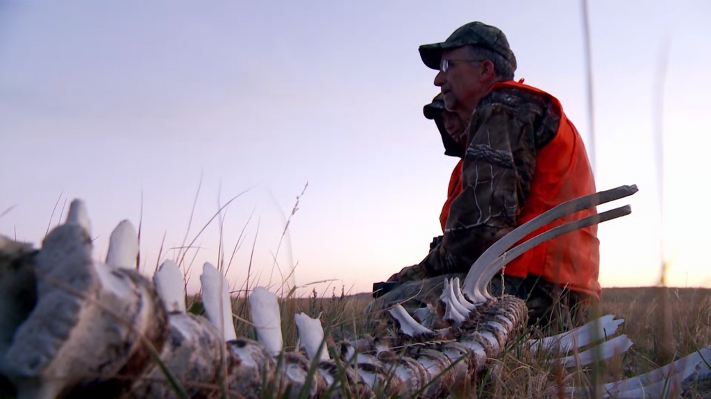 [Image: a2l65hwm8kvx.png]