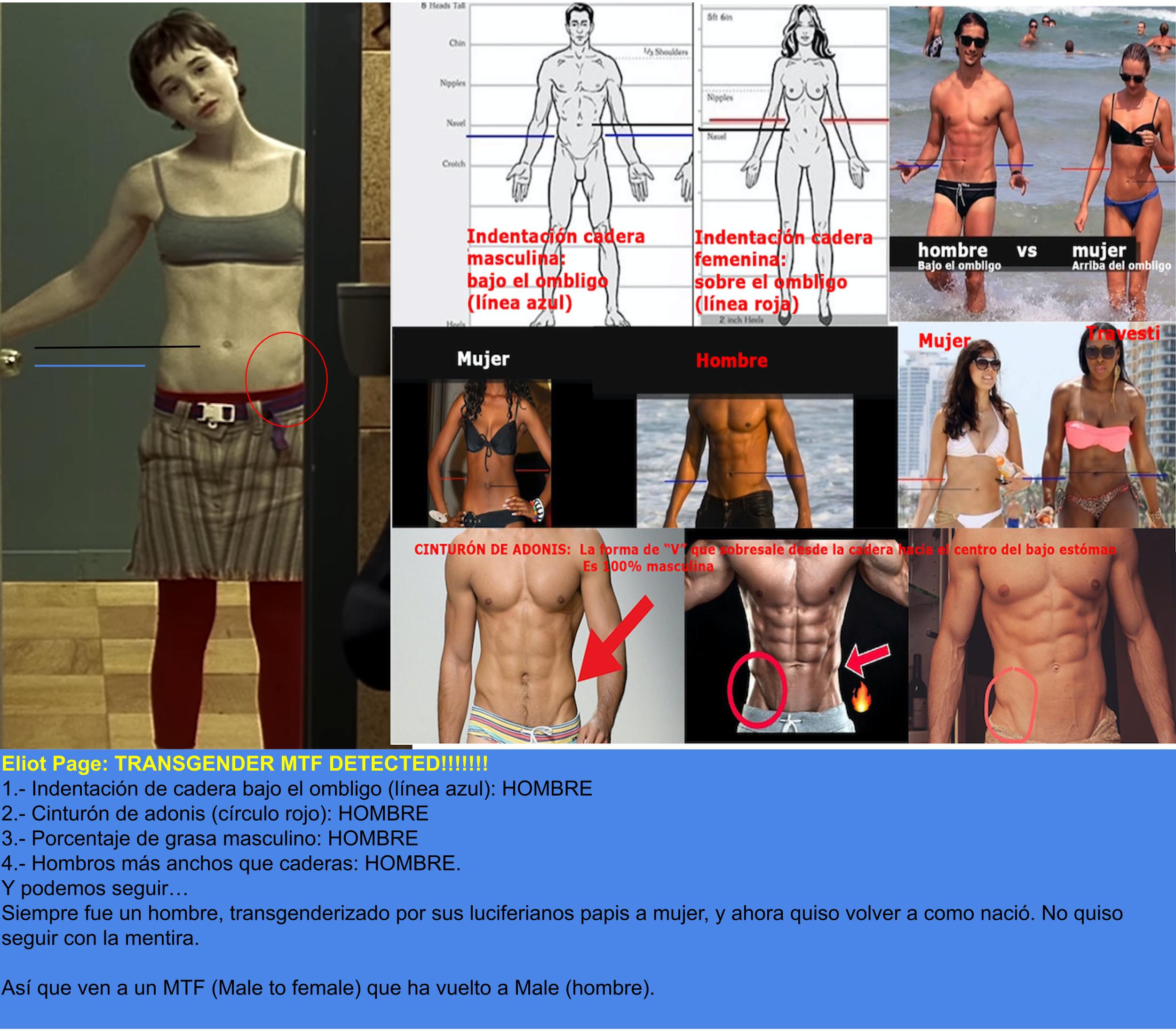 elliot-page-travesti-spa-6456754.jpg
