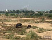 BBG&B9TheNewBodhGayaPics - 6