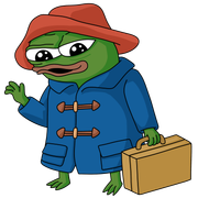 Paddington Bear Apu (Hamtaro PFP) V1