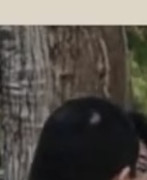 3383760E-F352-472B-9FCC-B0184423FAB0