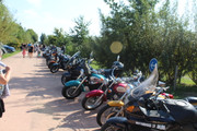 IMG-9271.jpg