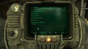 Fallout-3-stealth-armor-headgear-bug.jpg
