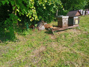 [Obrázky: IMG-20250618-082905-211.jpg]