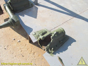 IMG-0895