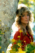 Farrah-Fawcett-mb29