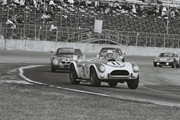  1964 International Championship for Makes 64day11-AC-Cobra-J-Everly-J-Allen-1